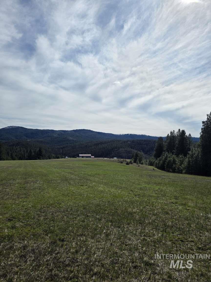 1077 Liberty Lane Viola, ID 83872 - Photo 7 of 7