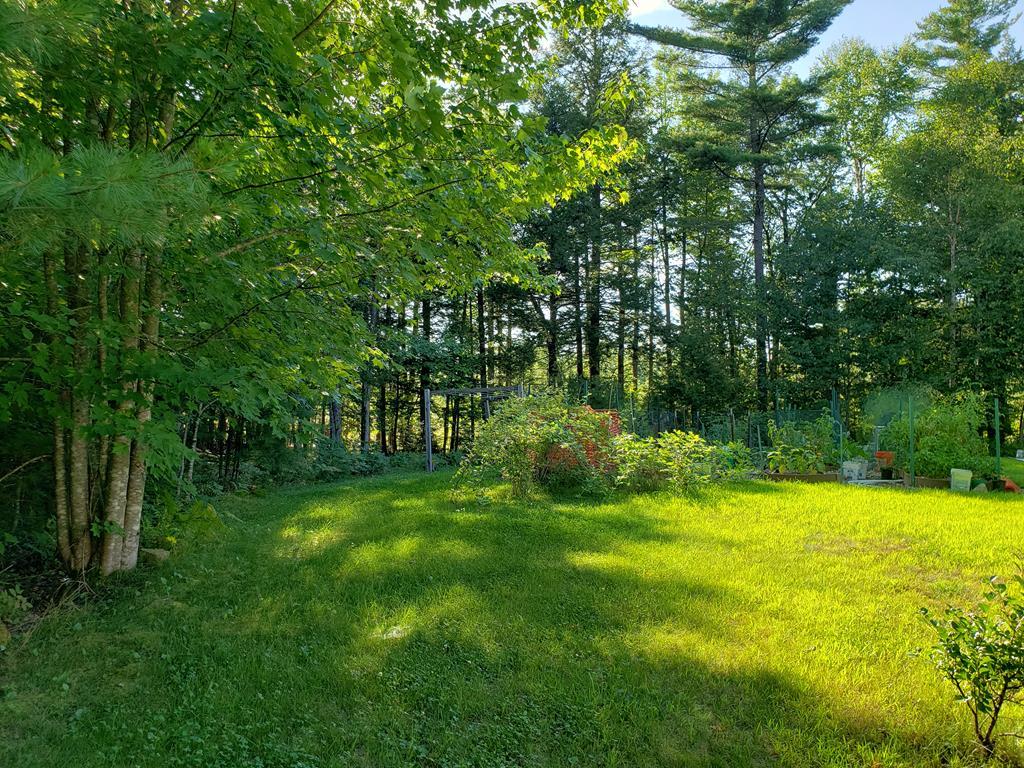 228 Castle Island Road Belgrade, ME 04917 - Photo 42 of 56 Back yard