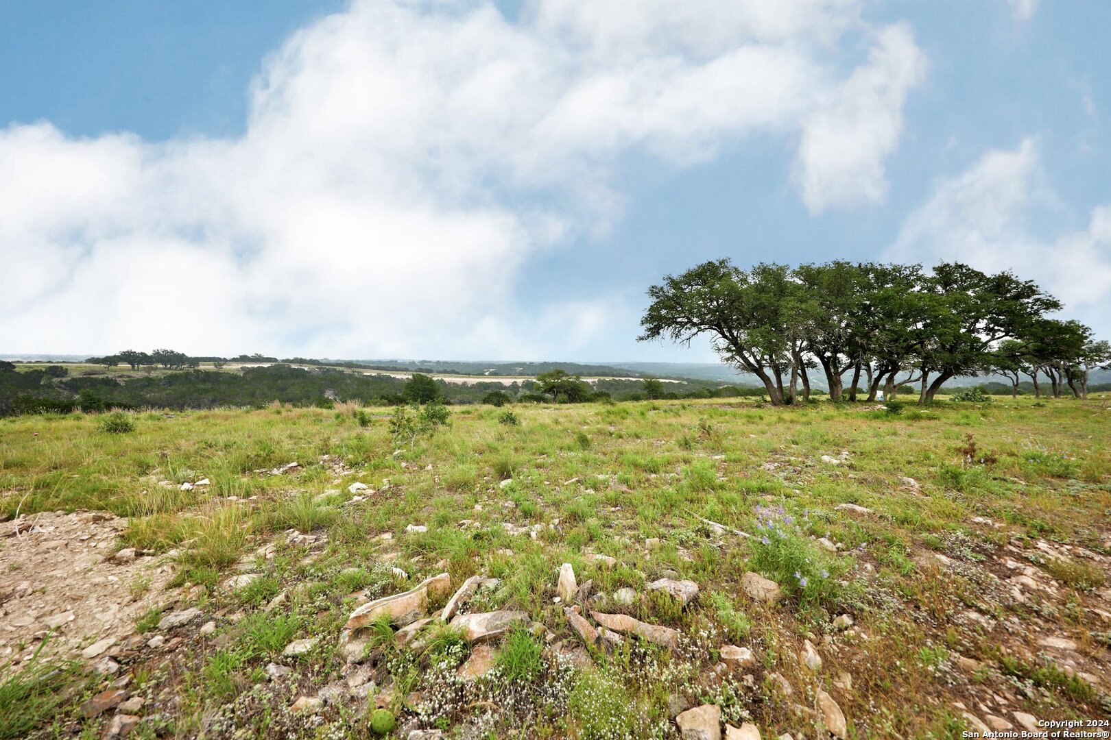 Lot 78 Loma Vista Ranch Kerrville, TX 78028 - Photo 4 of 15 a view of lake with green space
