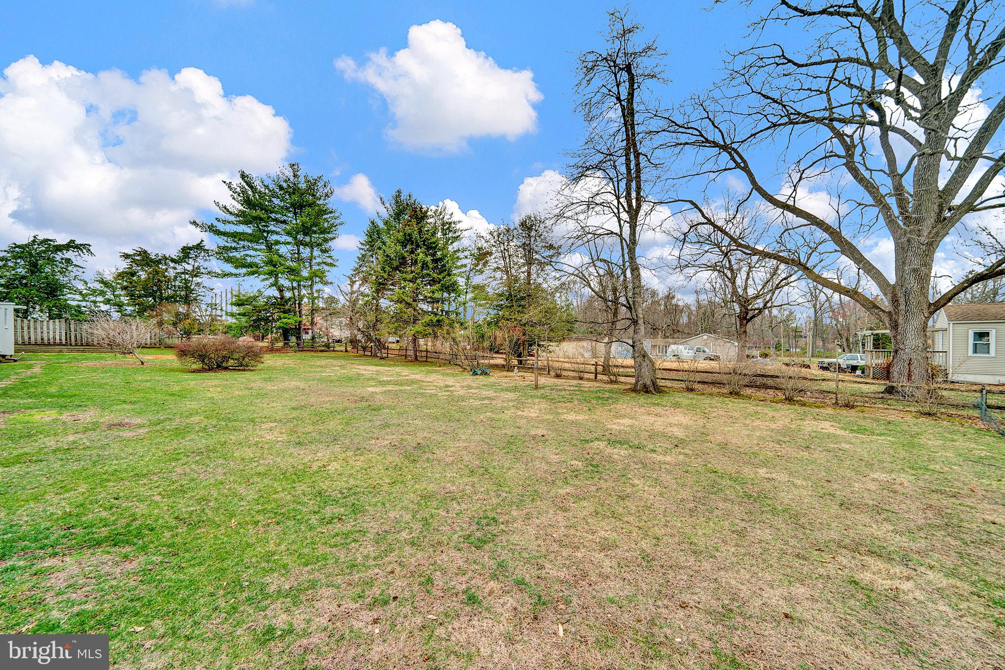 7 Diverty Road Pennington, NJ 08534 - Photo 43 of 45 a view of yard with tree