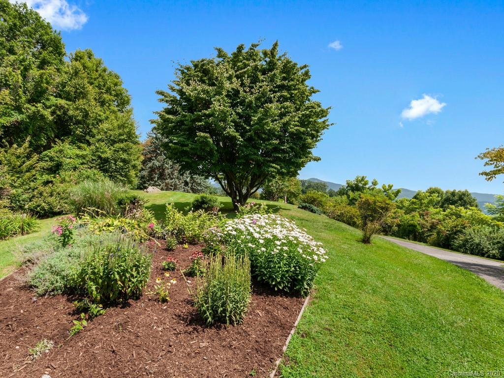 1263 Up Over Road Canton, NC 28716 - Photo 40 of 48 a view of a garden with plants