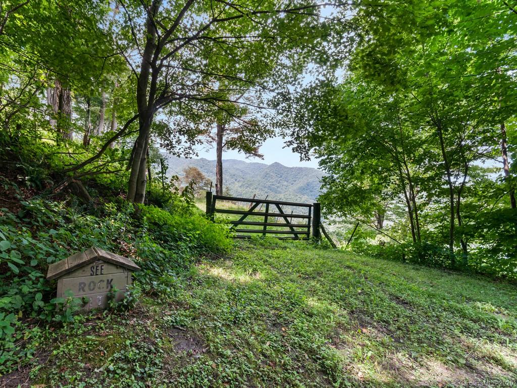 1263 Up Over Road Canton, NC 28716 - Photo 43 of 48 a view of a backyard with table and chairs and potted plants and large trees