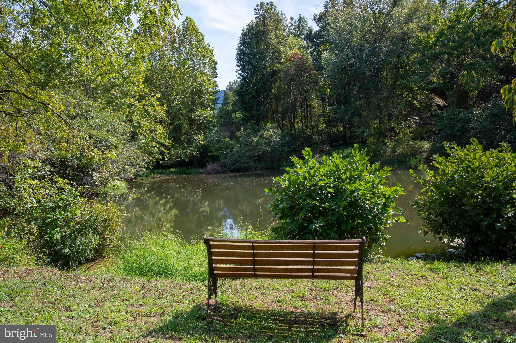 2002 Balkamore Hill Road Stanley, VA 22851 - Photo 38 of 45 a view of a bench in a garden