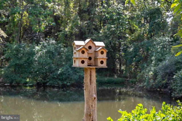 a fire hydrant in the middle of a forest