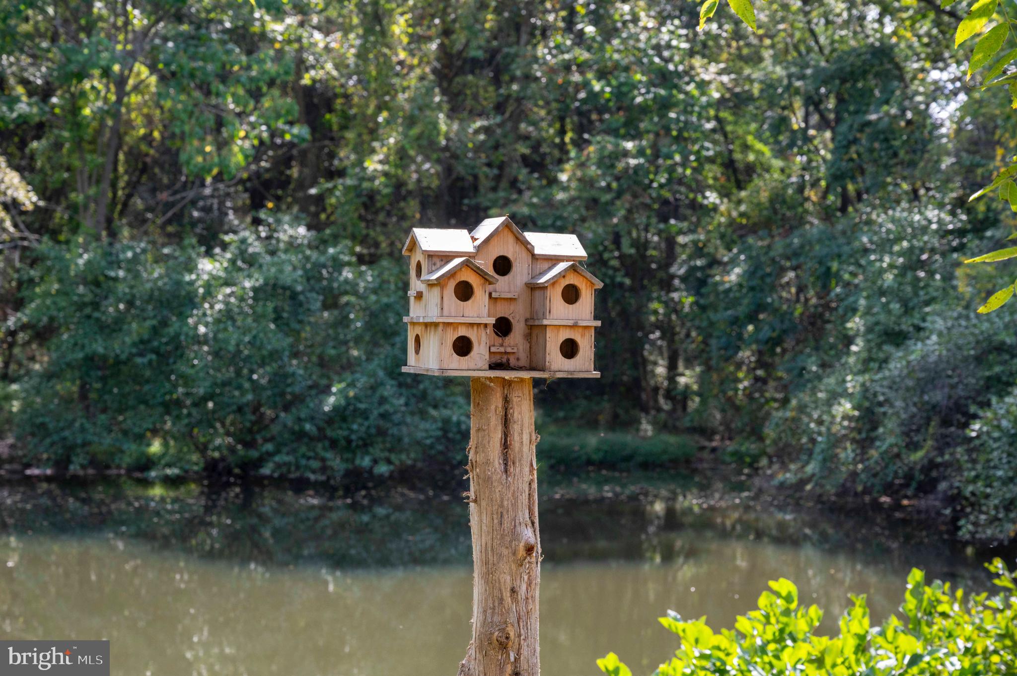 2002 Balkamore Hill Road Stanley, VA 22851 - Photo 39 of 45 a view of a lake view