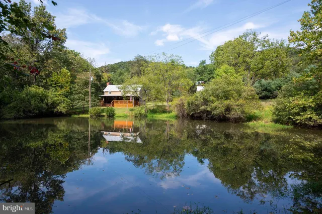 a view of a garden with a fountain