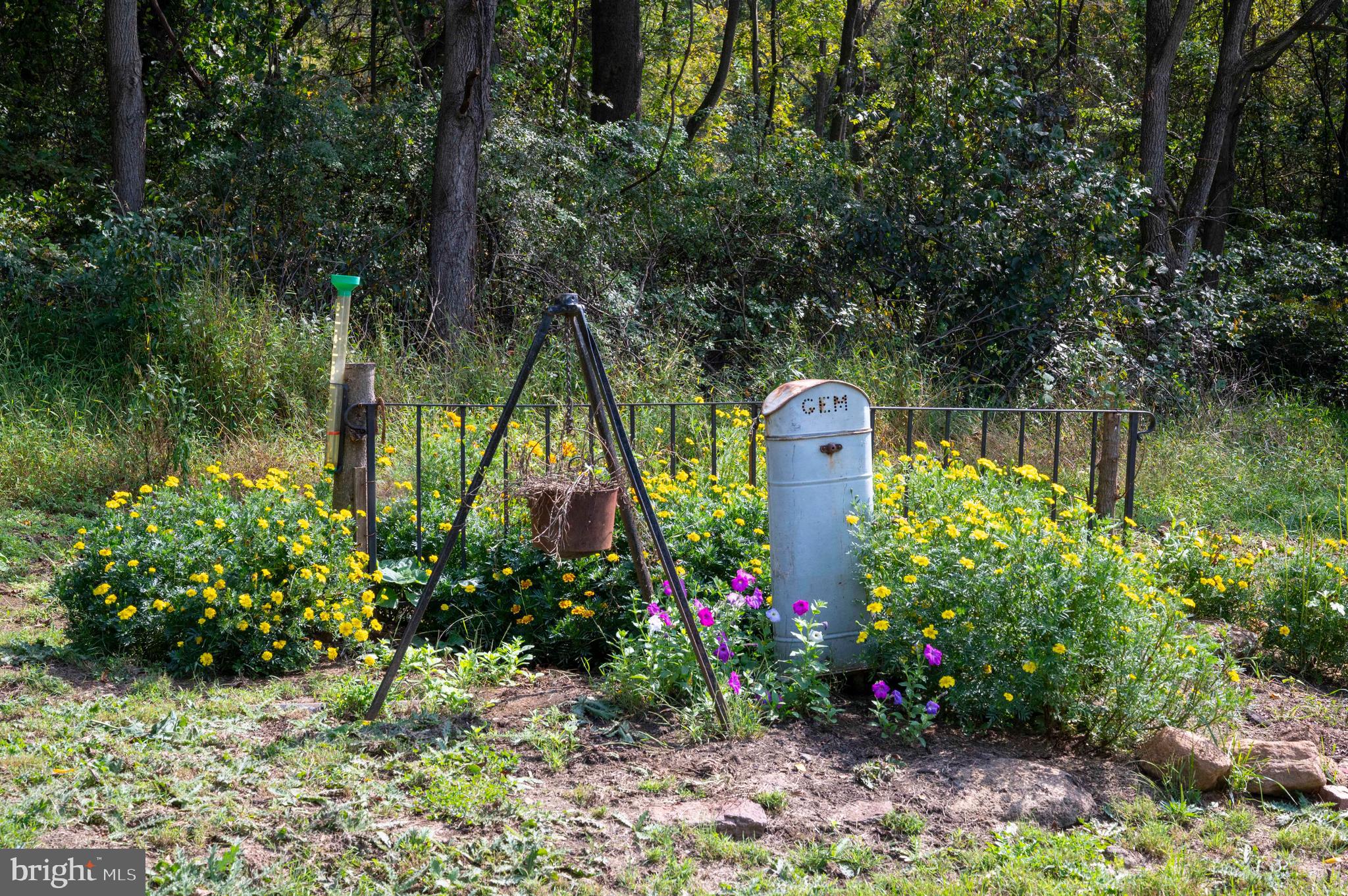 2002 Balkamore Hill Road Stanley, VA 22851 - Photo 42 of 45 a view of a garden with a fountain