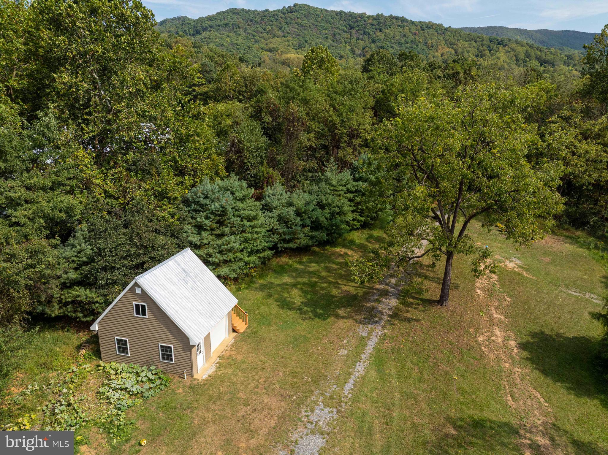 2002 Balkamore Hill Road Stanley, VA 22851 - Photo 7 of 45 a view of a house with a yard and large trees