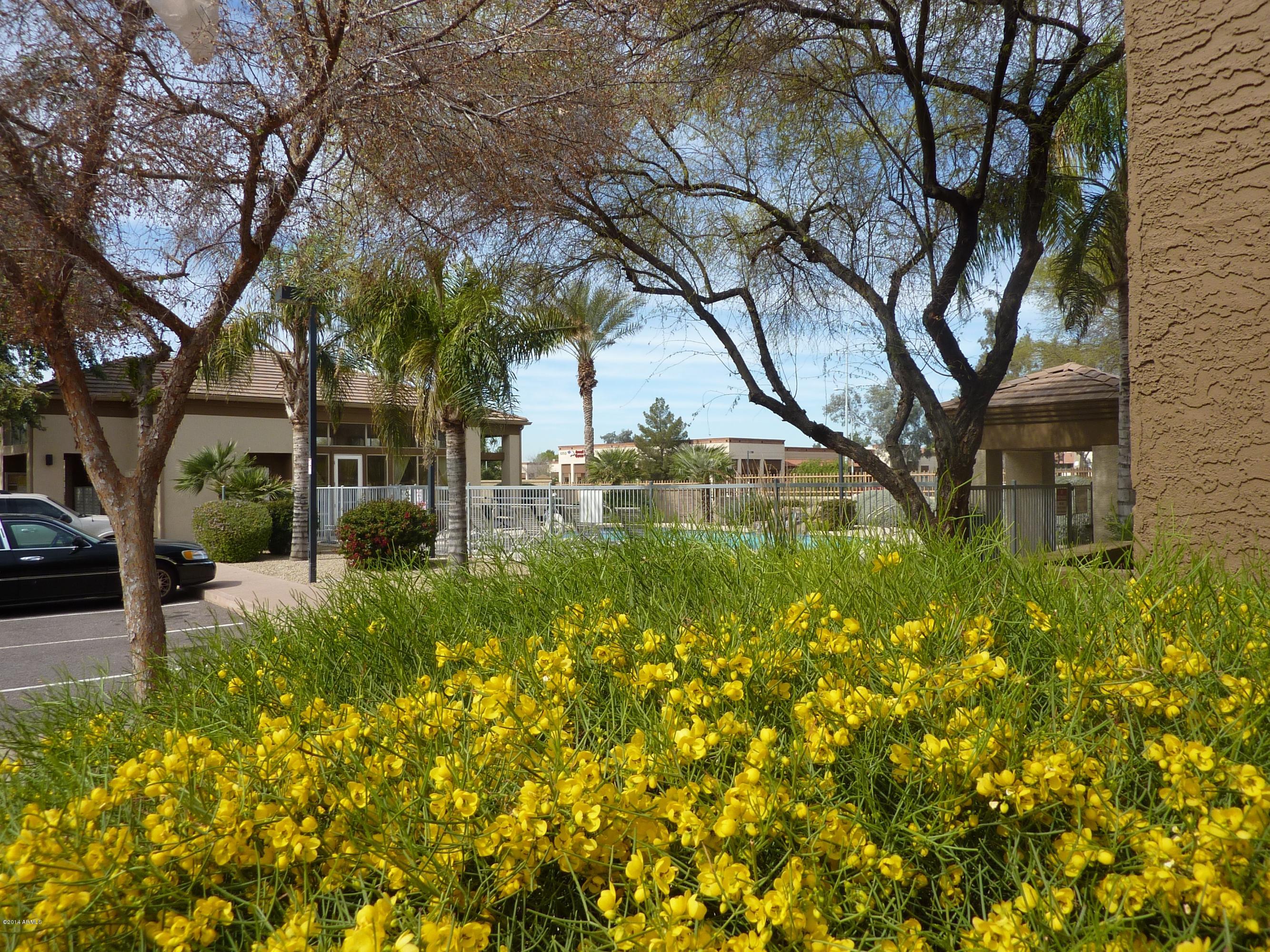 1445 East Broadway Road, Unit 110 Tempe, AZ 85282 - Photo 26 of 31 View from Townhome