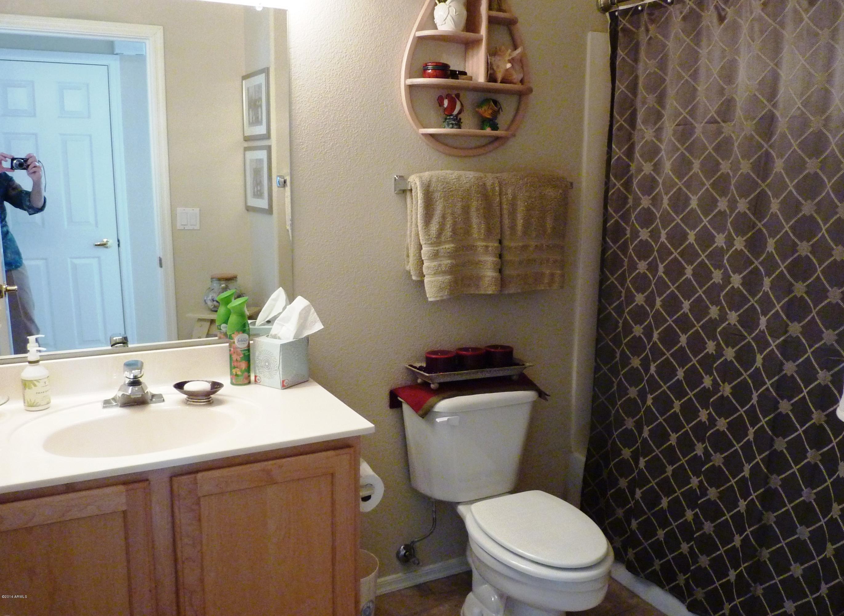 1445 East Broadway Road, Unit 110 Tempe, AZ 85282 - Photo 9 of 31 Downstairs Bath