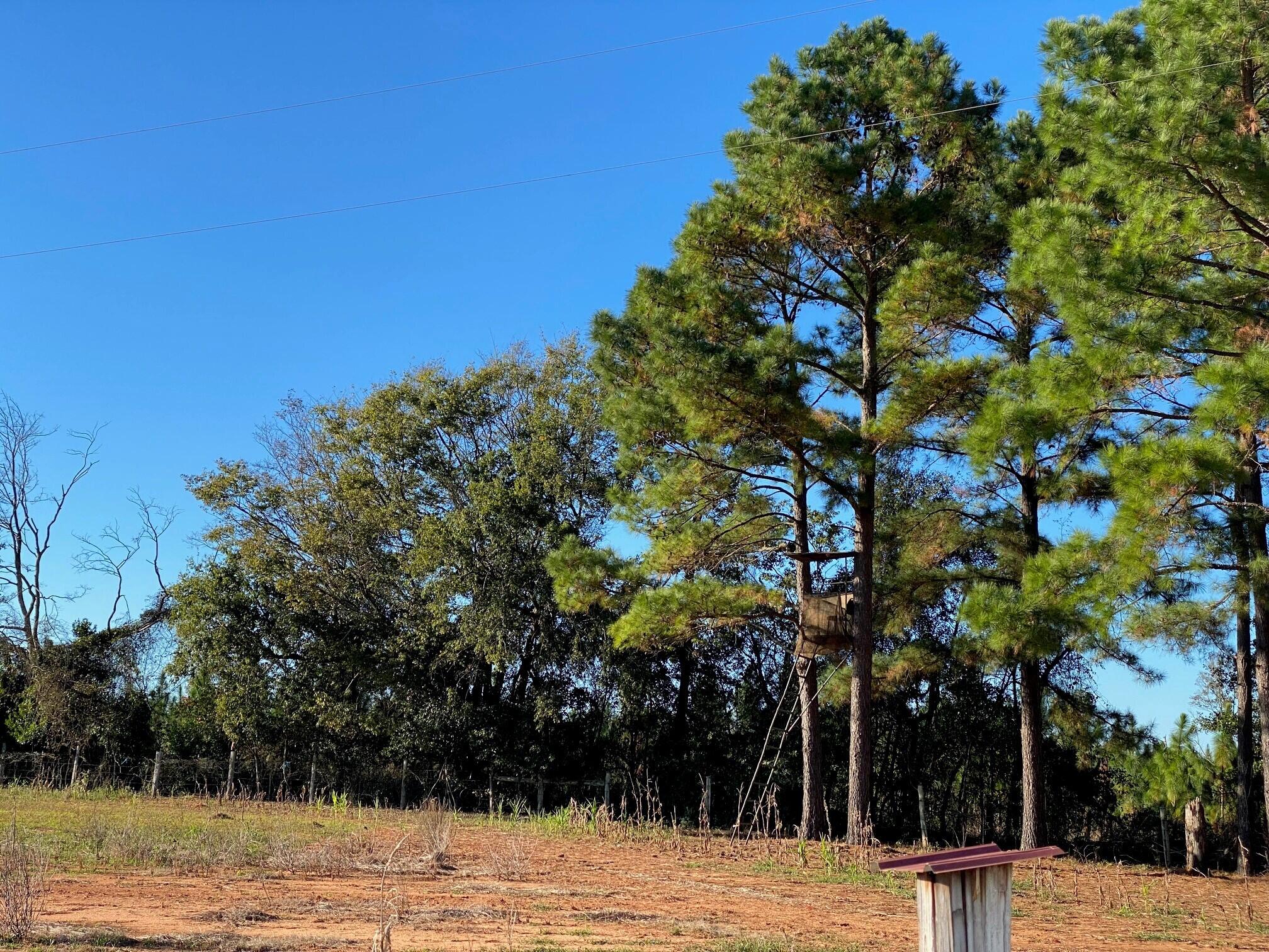 1 Fort Motte Road St. Matthews, SC 29135 - Photo 16 of 26 16