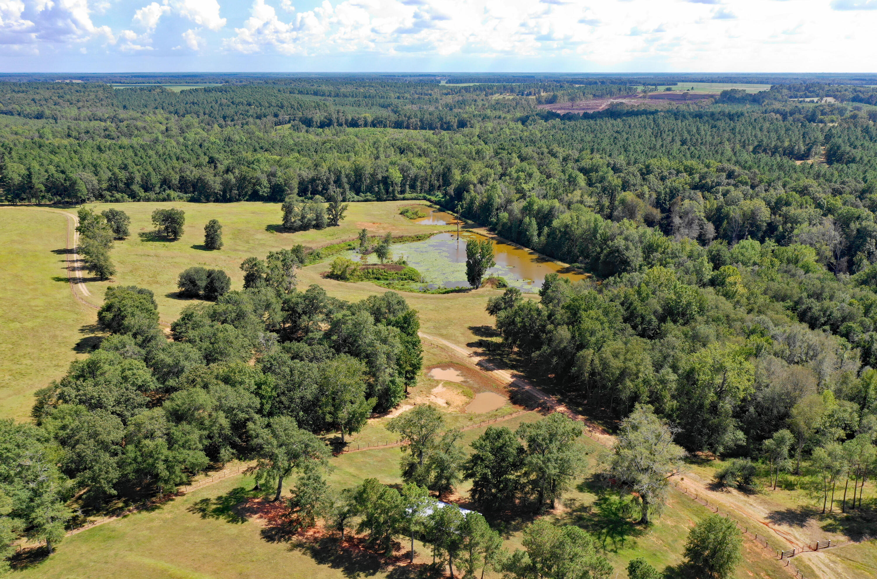 1 Fort Motte Road St. Matthews, SC 29135 - Photo 4 of 26 DJI_0140