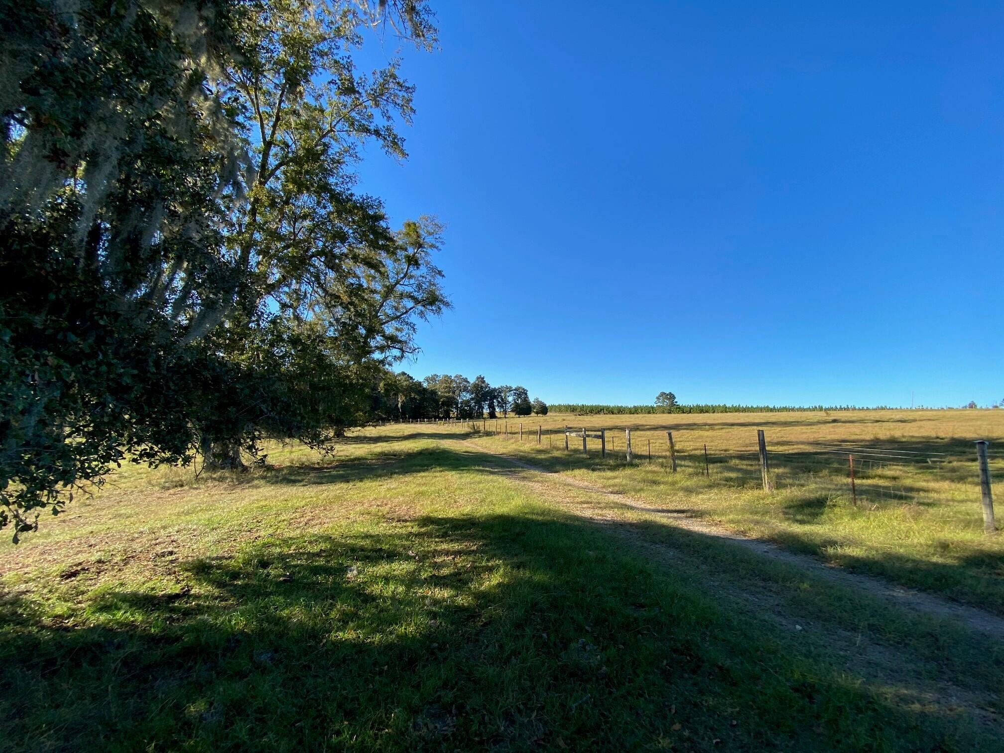 1 Fort Motte Road St. Matthews, SC 29135 - Photo 7 of 26 3