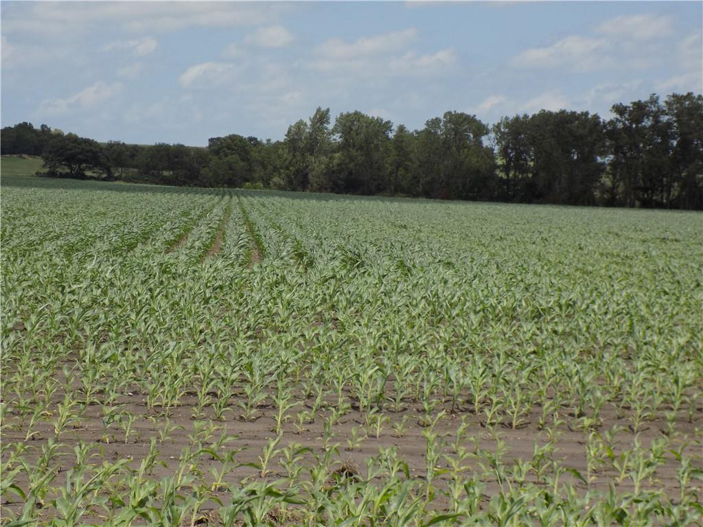 300 Road & Oregon Road Kincaid, KS 66039 - Photo 2 of 13