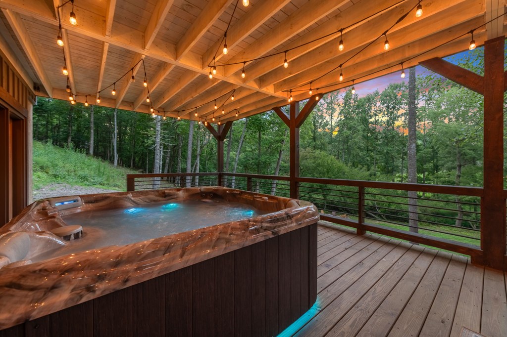 215 Twin Creeks Blue Ridge, GA 30513 - Photo 45 of 49 Gallery Image 45
