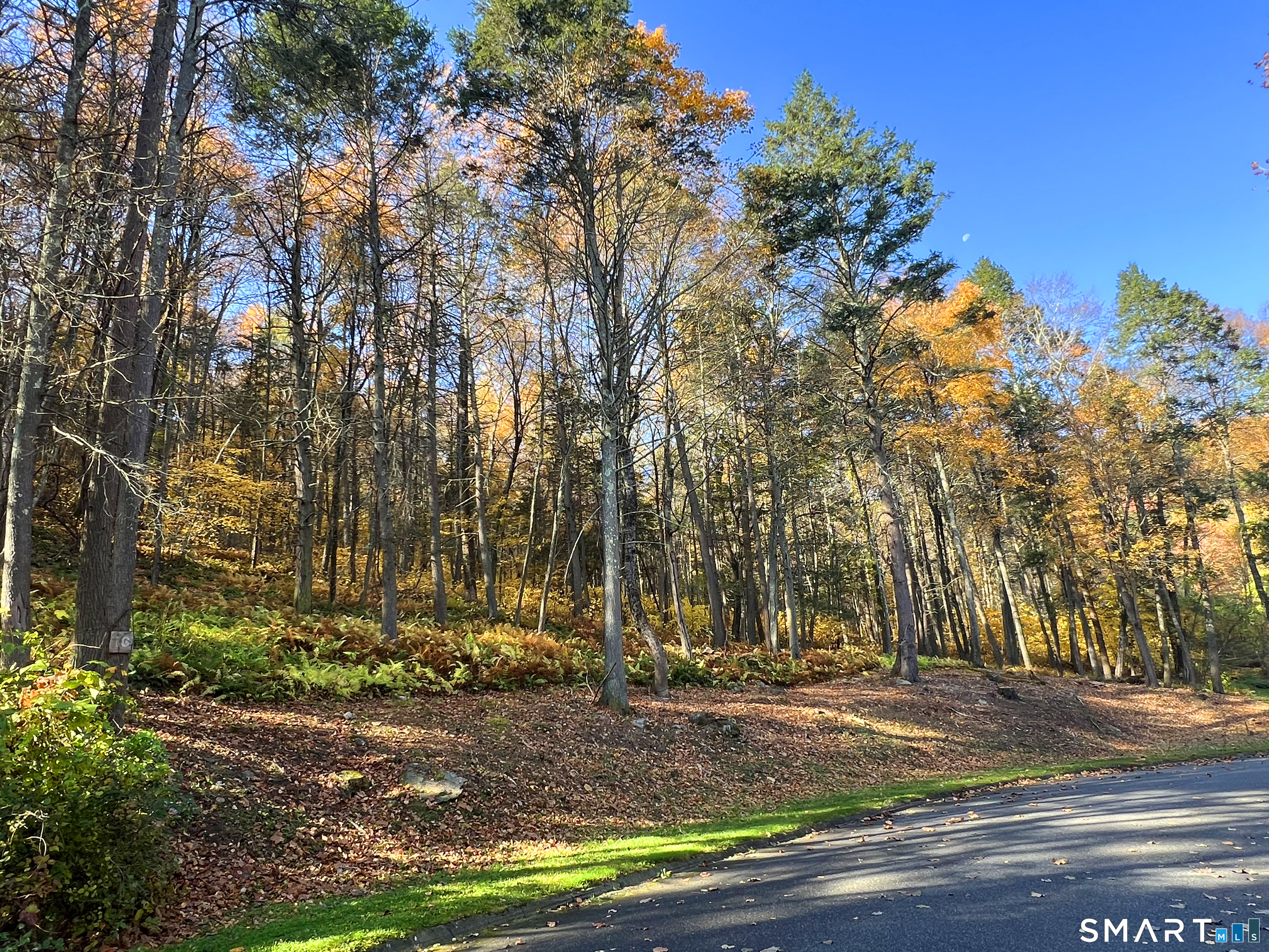 40 Long River Road Sherman, CT 06784 - Photo 22 of 24 a view of a yard with plants and trees