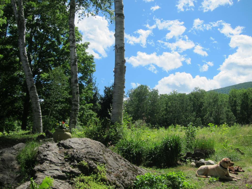 2501 W Road Manchester, VT 05255 - Photo 27 of 36 Gallery Image 27