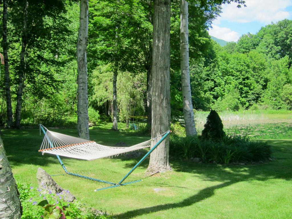 2501 W Road Manchester, VT 05255 - Photo 29 of 36 Gallery Image 29