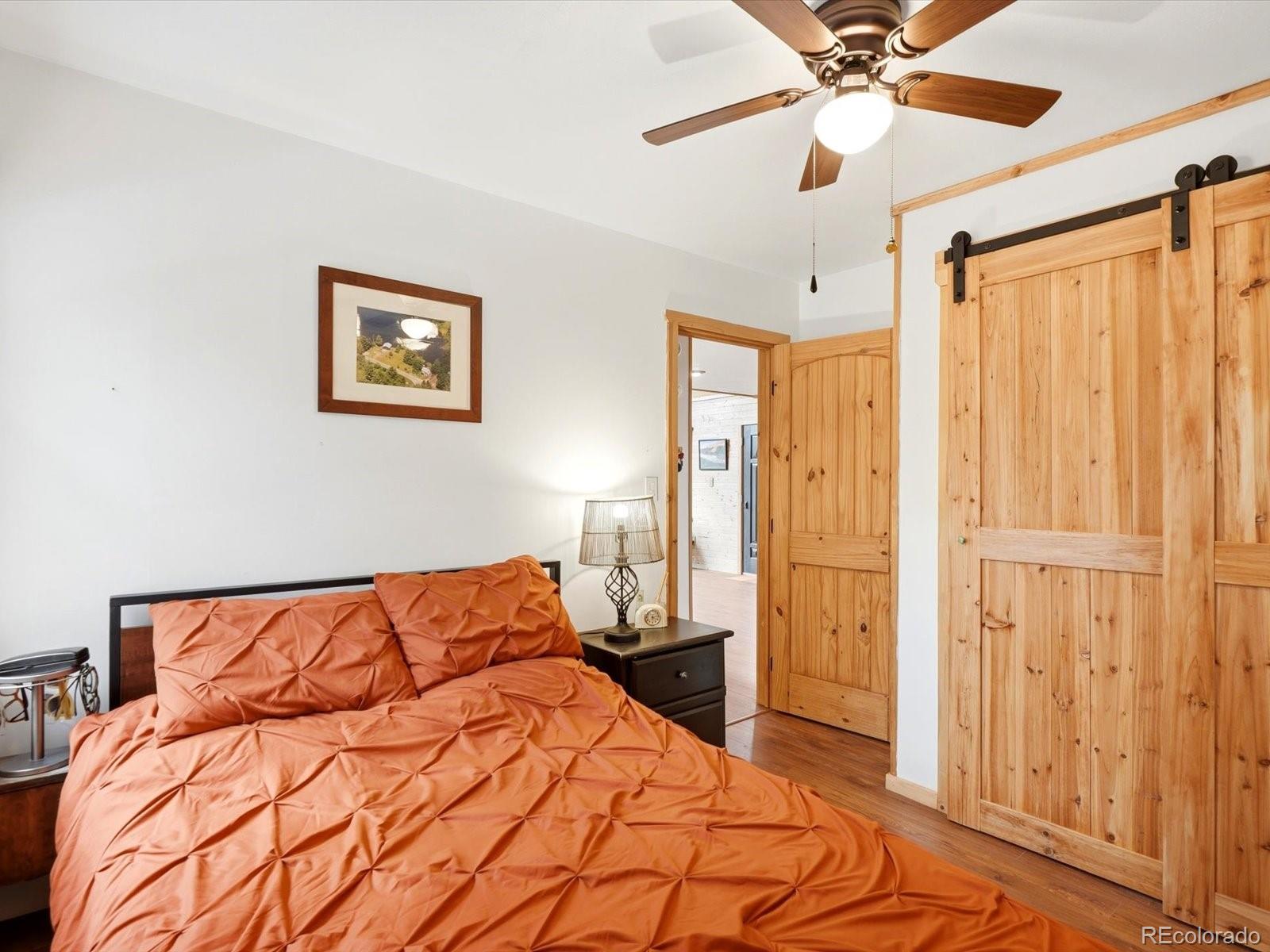 10 Juniper Way Bailey, CO 80421 - Photo 24 of 41