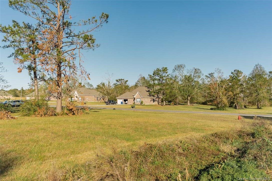 0 Ridgeway Drive Ragley, LA 70657 - Photo 3 of 9