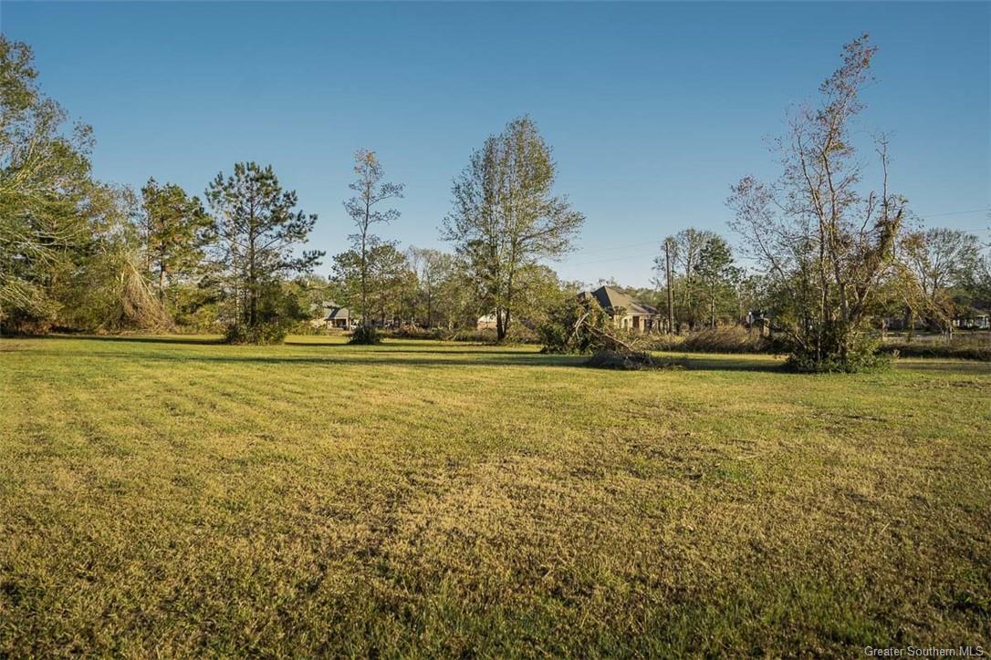 0 Ridgeway Drive Ragley, LA 70657 - Photo 6 of 9