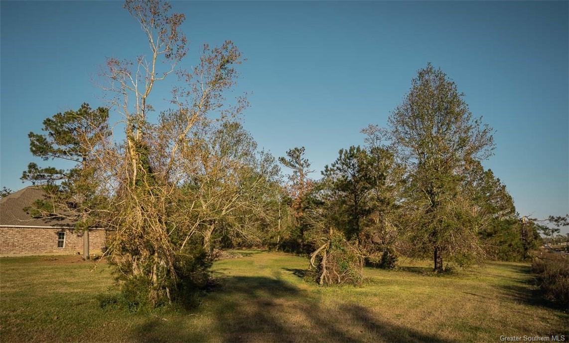 0 Ridgeway Drive Ragley, LA 70657 - Photo 7 of 9