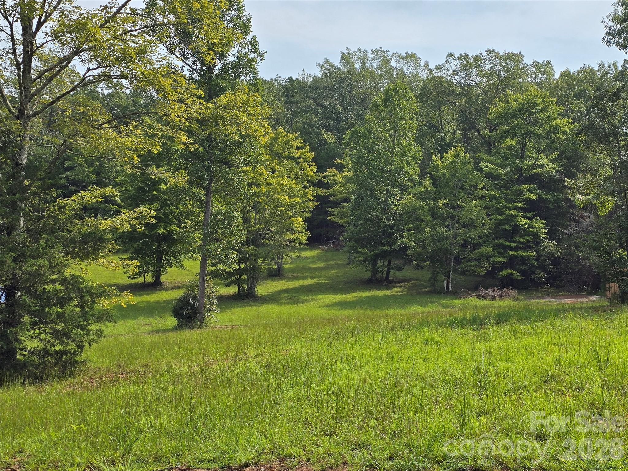 1696 Old Cc Road Rutherfordton, NC 28139 - Photo 4 of 5