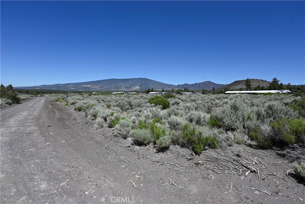 0 Timber Road Montague, CA 96064 - Photo 3 of 14