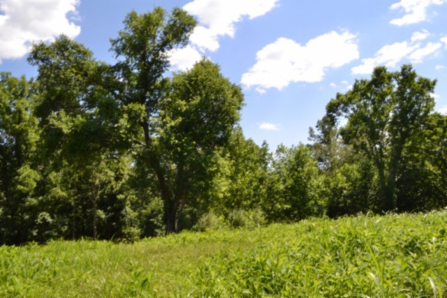 0 Pea Ridge Fire Tower Road Celina, TN 38551 - Photo 36 of 53