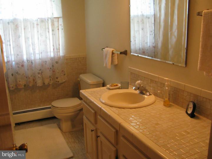 1215 Eagle Road West Chester, PA 19382 - Photo 20 of 24 Bathroom