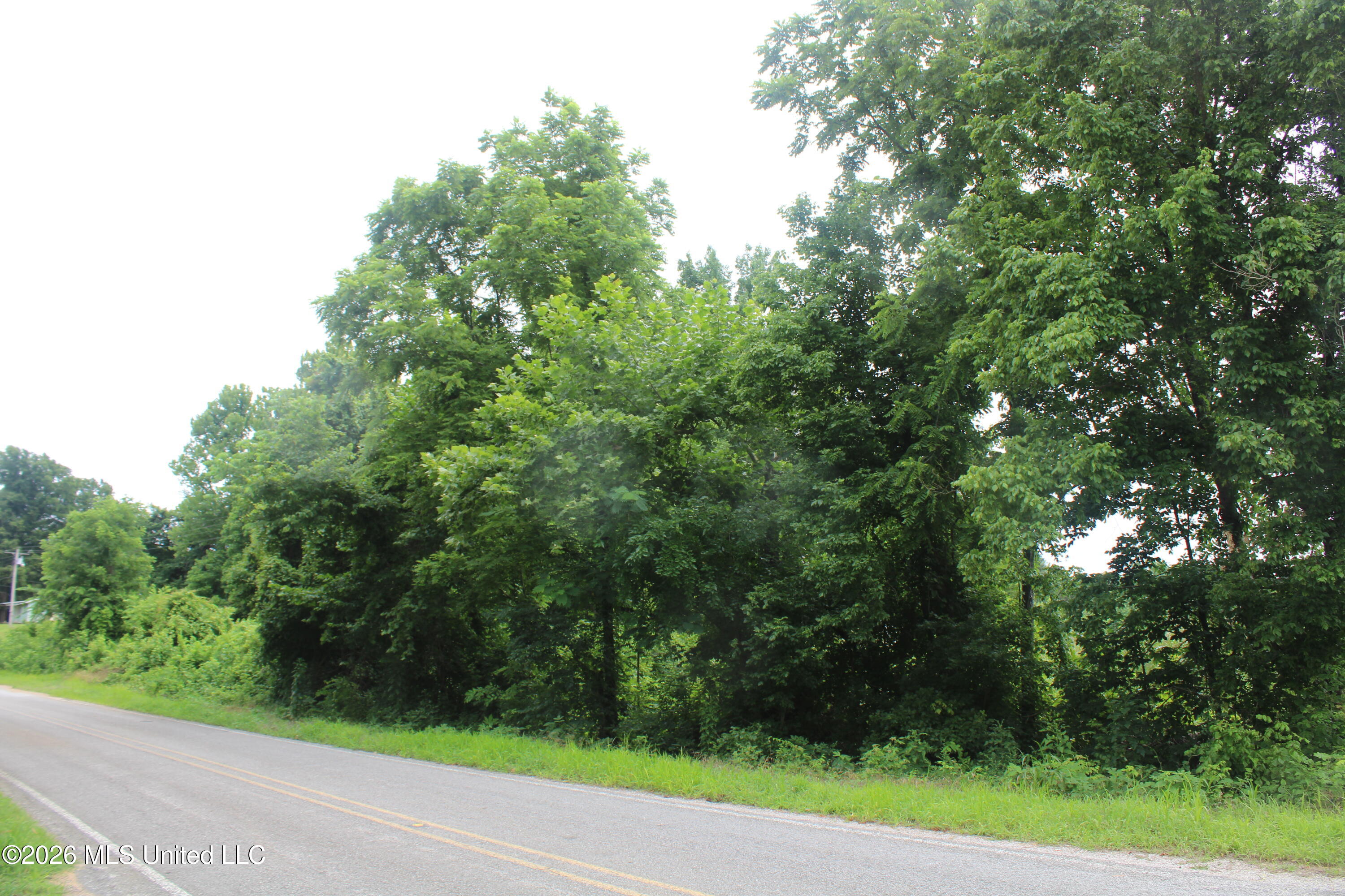 1500 Allen Corner Road Lamar, MS 38642 - Photo 5 of 17 IMG_7973