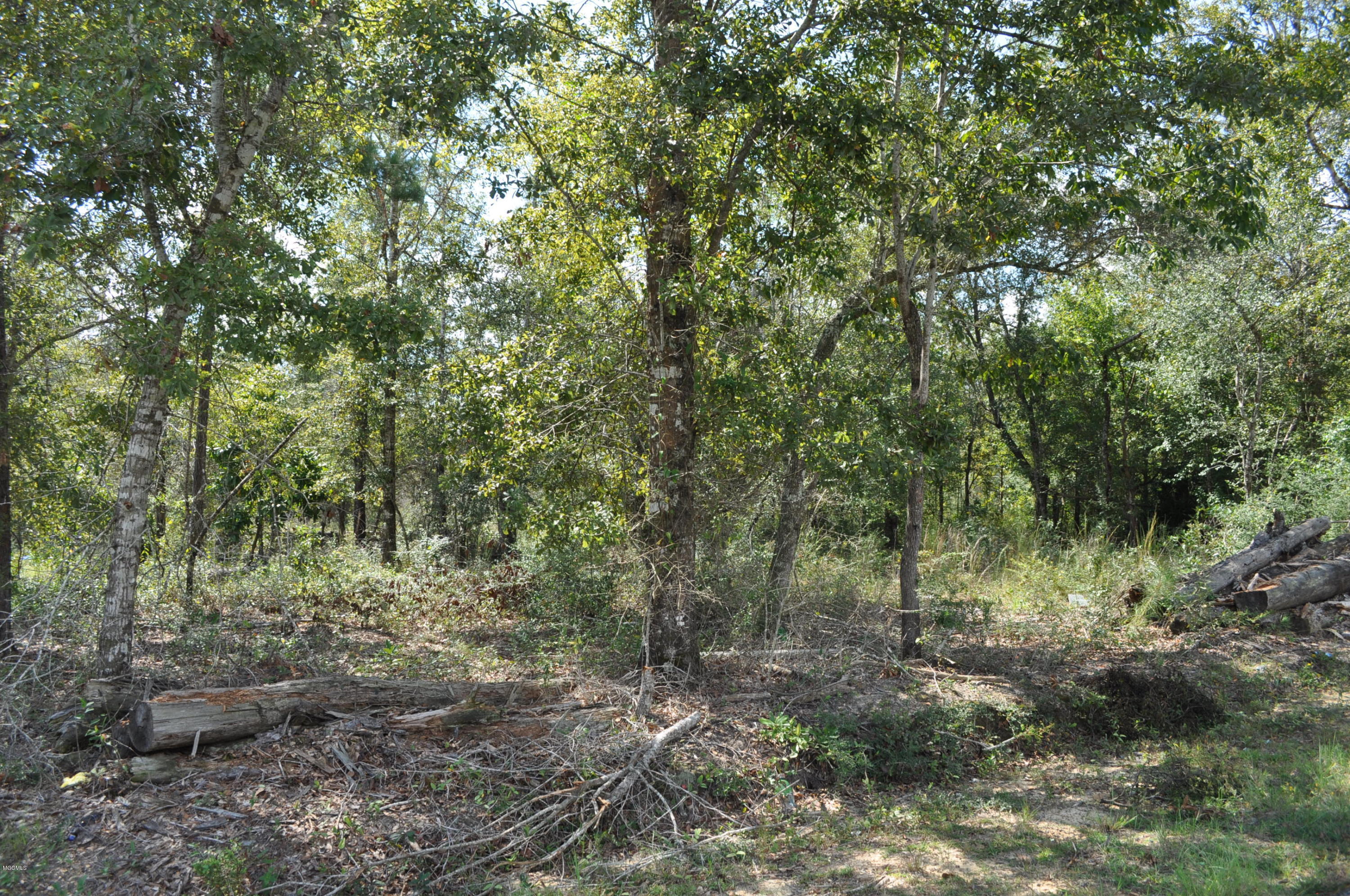 7085 Gustine Road Kiln, MS 39556 - Photo 3 of 7 DSC_0768
