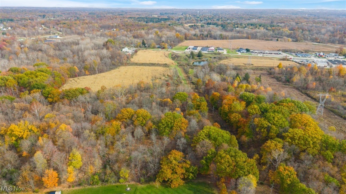3652 Pearl Road Medina, OH 44256 - Photo 26 of 38 Birds eye view of property
