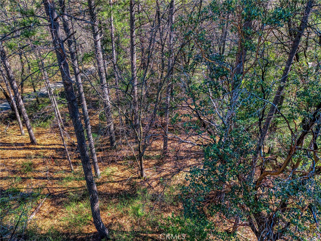 15347 Western Mine Road Middletown, CA 95461 - Photo 12 of 19 a view of forest