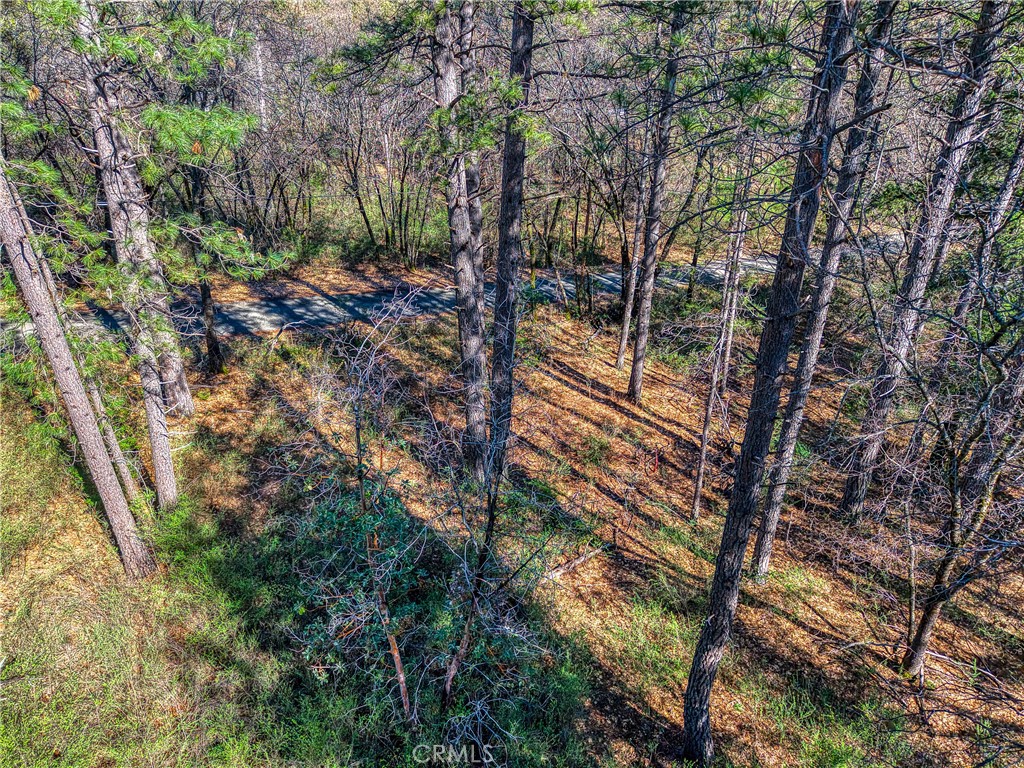 15347 Western Mine Road Middletown, CA 95461 - Photo 13 of 19 a backyard of a house with lots of green space