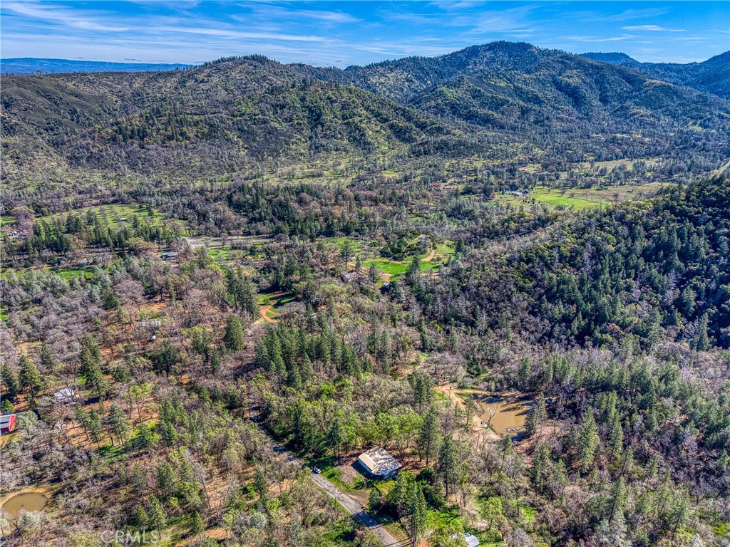 15347 Western Mine Road Middletown, CA 95461 - Photo 15 of 19 a view of a field with a forest