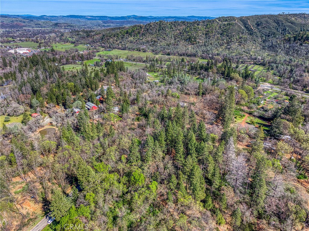 15347 Western Mine Road Middletown, CA 95461 - Photo 16 of 19 a view of a forest with trees in the background