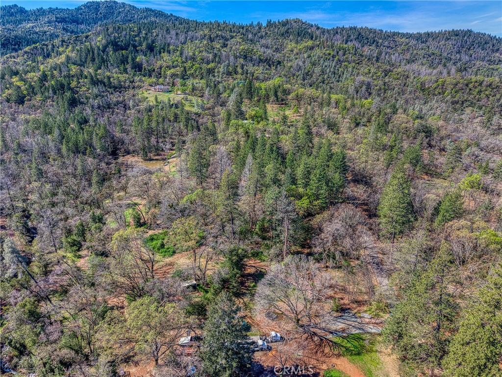 15347 Western Mine Road Middletown, CA 95461 - Photo 17 of 19 a view of a forest with a street