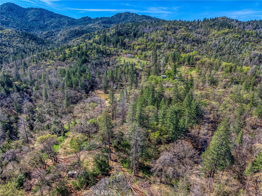 15347 Western Mine Road Middletown, CA 95461 - Photo 18 of 19 a view of a forest with a mountain in the background
