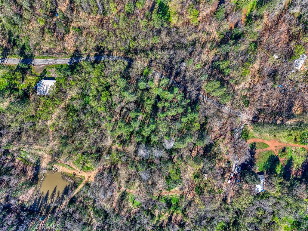 15347 Western Mine Road Middletown, CA 95461 - Photo 19 of 19 a view of a plant with a plant