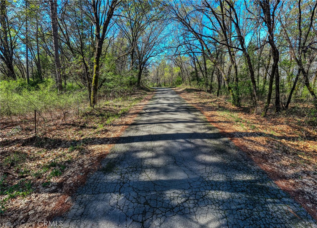 15347 Western Mine Road Middletown, CA 95461 - Photo 2 of 19 a view of a yard with a tree