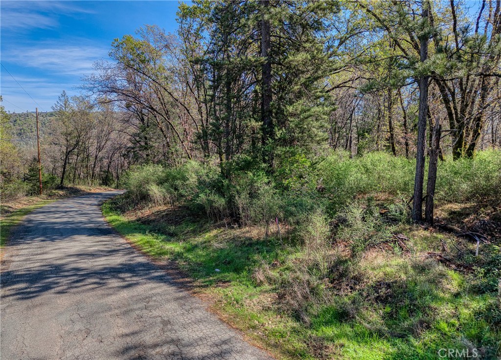 15347 Western Mine Road Middletown, CA 95461 - Photo 4 of 19 a big yard with lots of green space