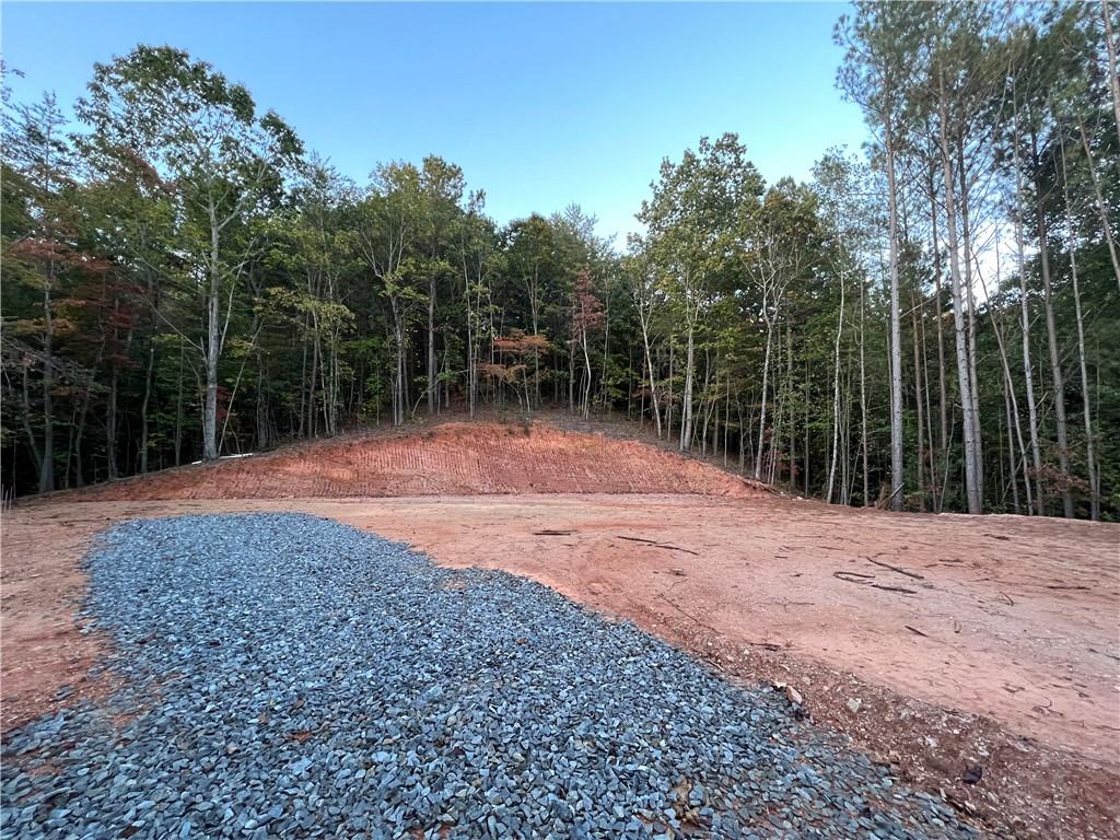 85 Mauser Court Jasper, GA 30143 - Photo 2 of 10 a backyard of a house with lots of green space