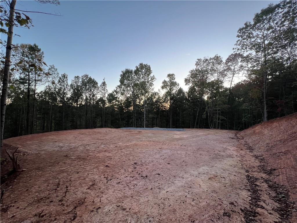85 Mauser Court Jasper, GA 30143 - Photo 4 of 10