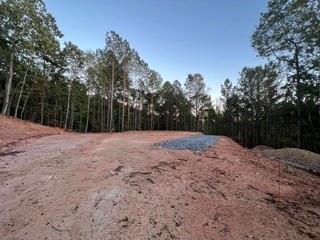 85 Mauser Court Jasper, GA 30143 - Photo 6 of 10 a backyard of a house with trees