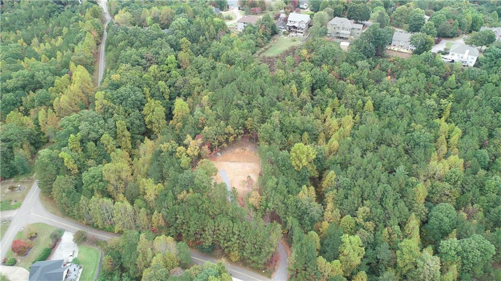 85 Mauser Court Jasper, GA 30143 - Photo 9 of 10 a view of a forest with a houses
