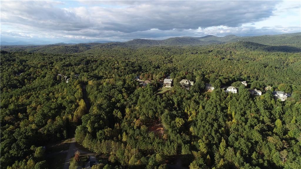 85 Mauser Court Jasper, GA 30143 - Photo 10 of 10 a view of a city with lush green forest