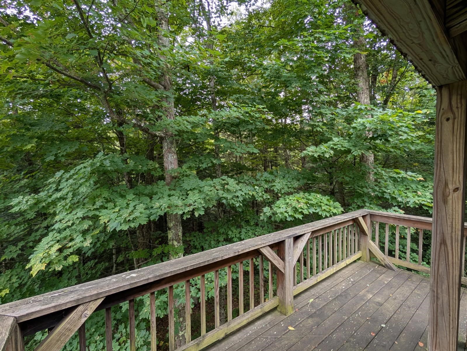 137 Old Jay-Montgomery Road Jay, VT 05859 - Photo 15 of 26 Gallery Image 15