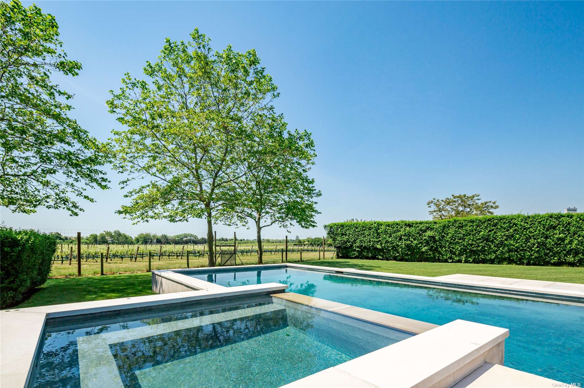 a view of a swimming pool with a garden and trees