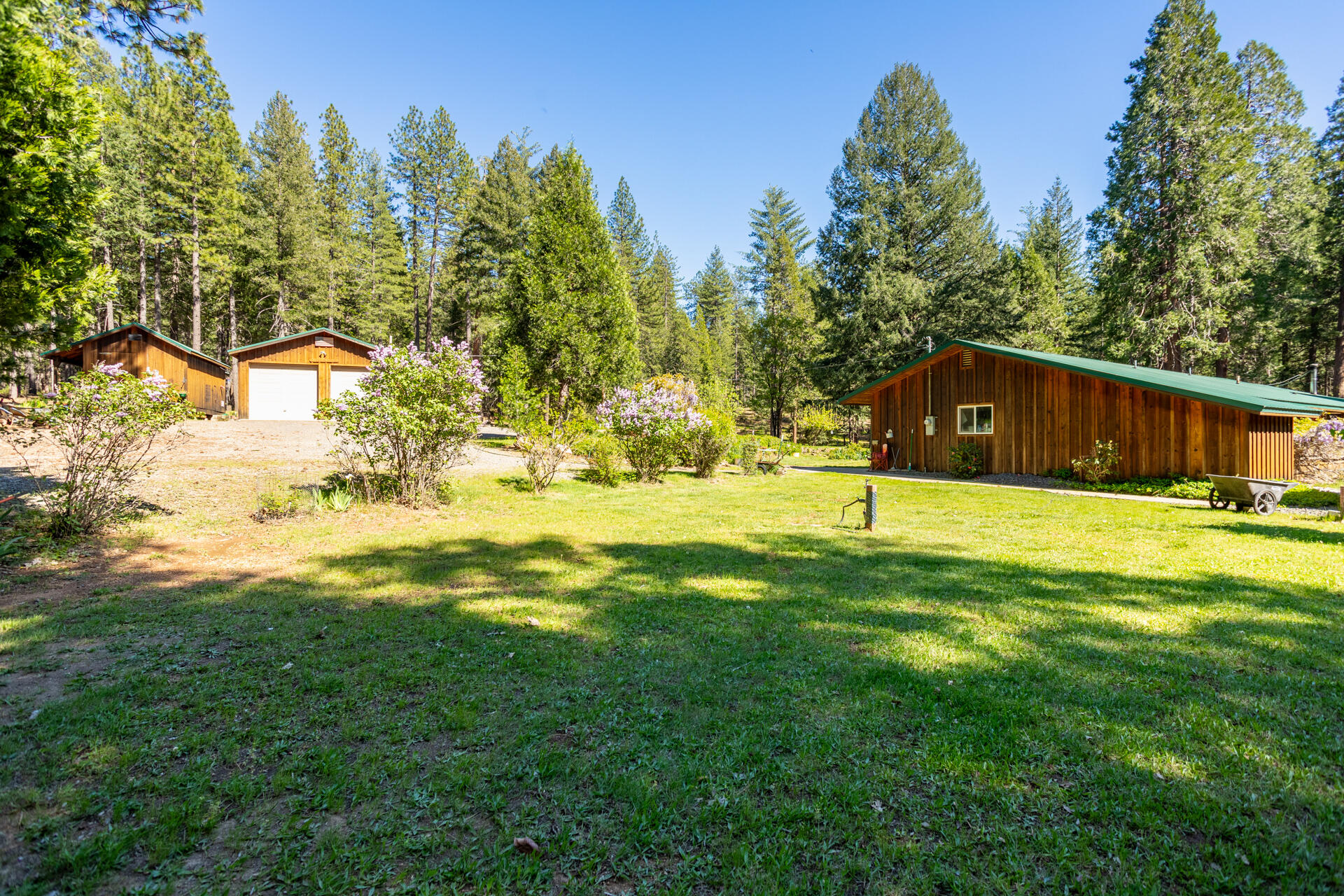 30481 Rl Smith Logging Road Oak Run, CA 96069 - Photo 24 of 41 IMG_6187-HDR